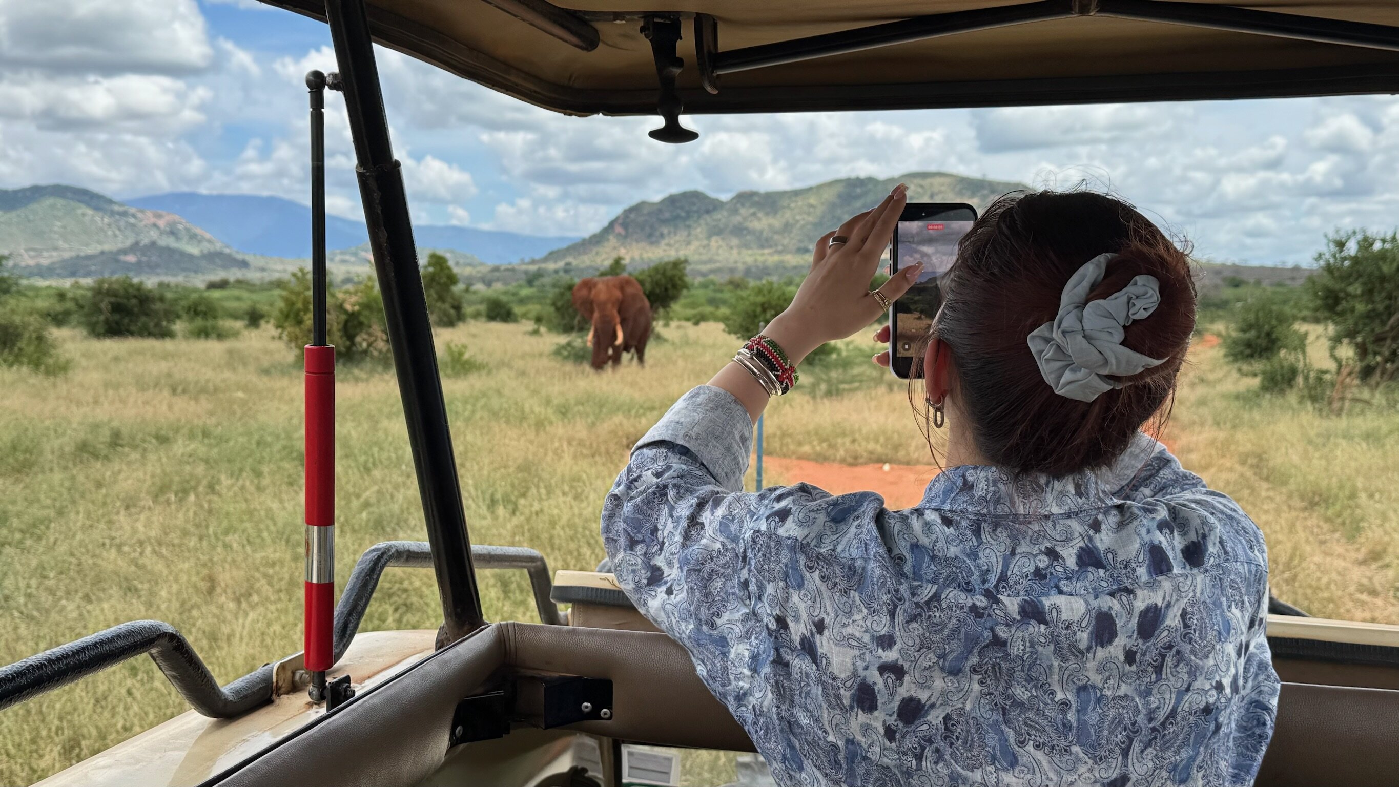 Safari Erlebnis