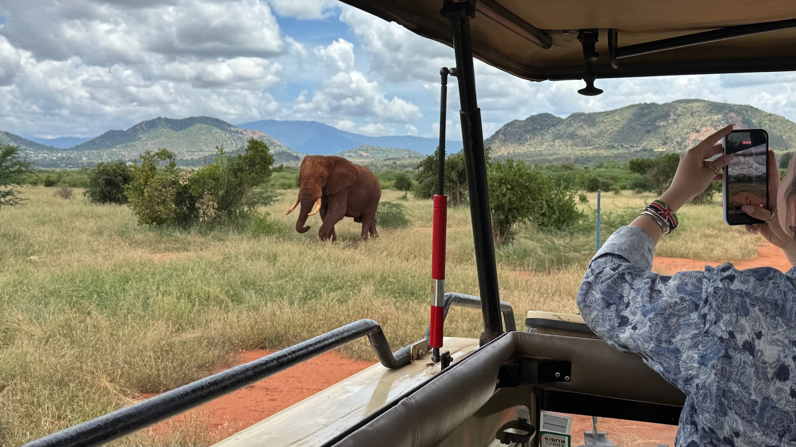 Safari Erlebnis